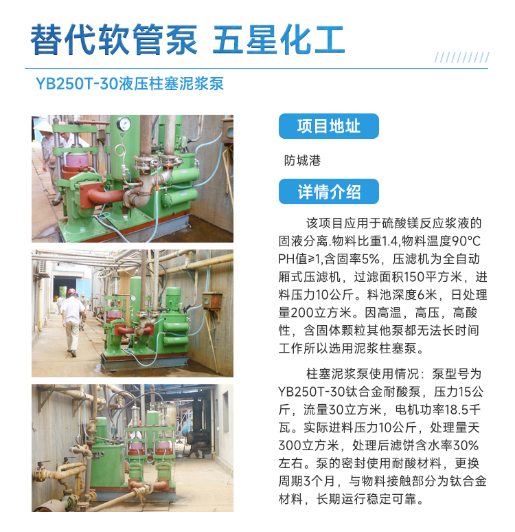 化工廠柱塞泥漿泵替代軟管泵