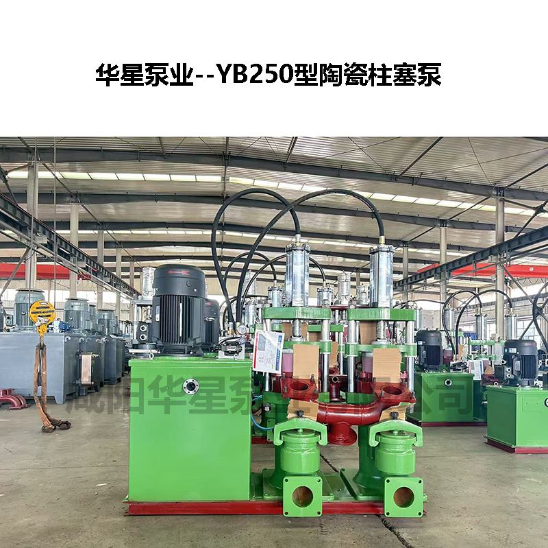 YB250節(jié)能型陶瓷柱塞泵-05 YB250節(jié)能型陶瓷柱塞泵-05